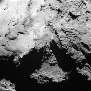 Year at a comet, February 2015