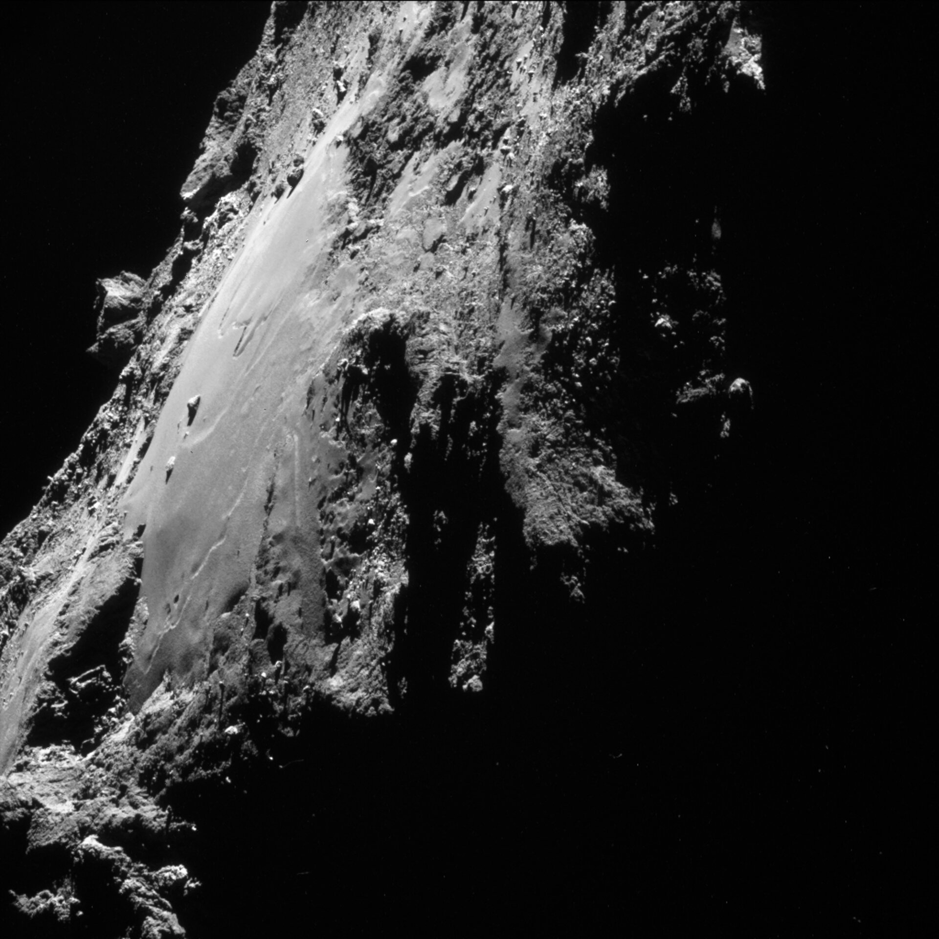 Year at a comet, October 2014