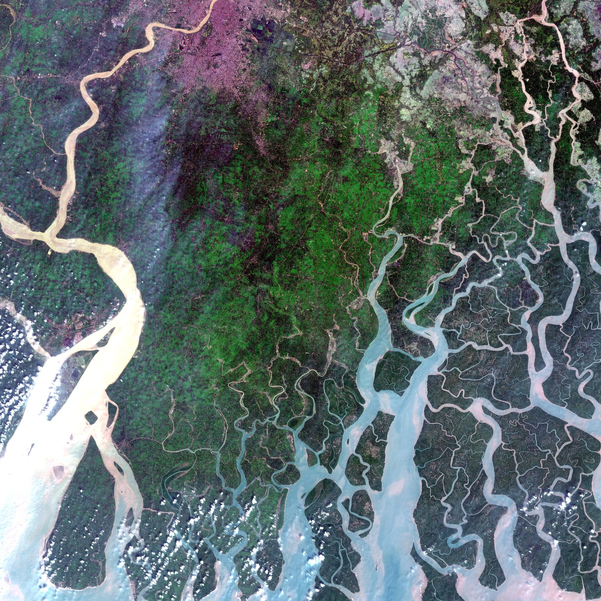 The Ganges Delta, relayed by EDRS-A