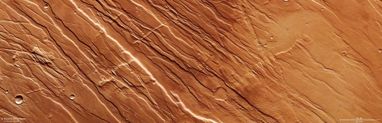 Faults and scars near Tharsis province on Mars